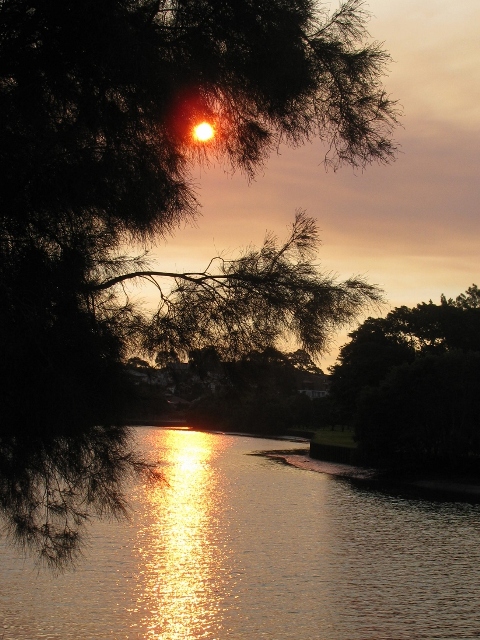 Reflection on Cooks River